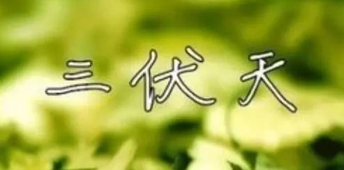 三伏天飲食有哪些禁忌？微電腦治療儀哪個(gè)牌子好？