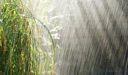 如何健康度過多雨季節(jié)？陜西千秋電子治療儀